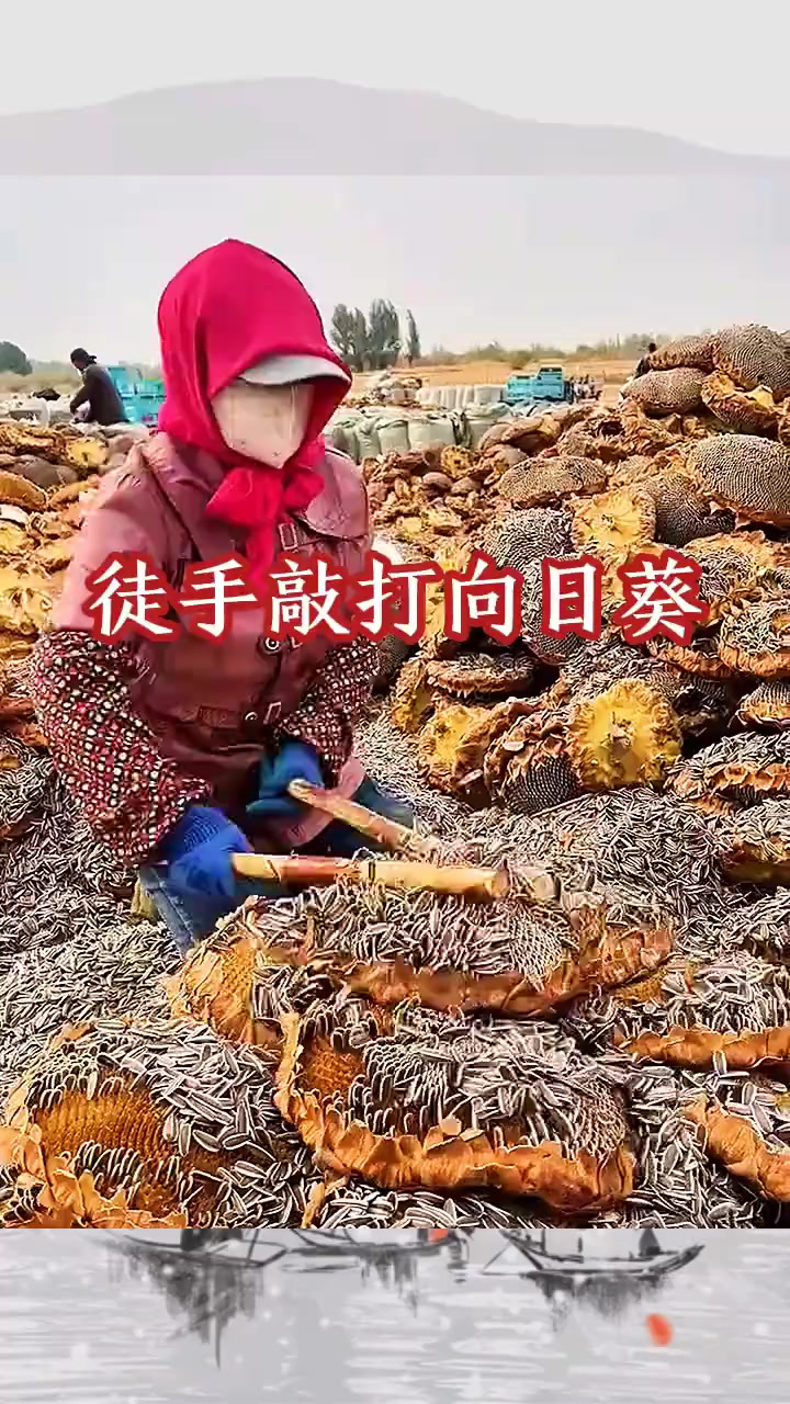 打手瓜子全新口味.打手瓜子!大颗粒五香瓜子,古