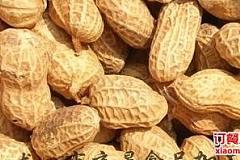 上海八佰伴美食攻略 零食熟食点心干货特色推荐与订餐小贴士