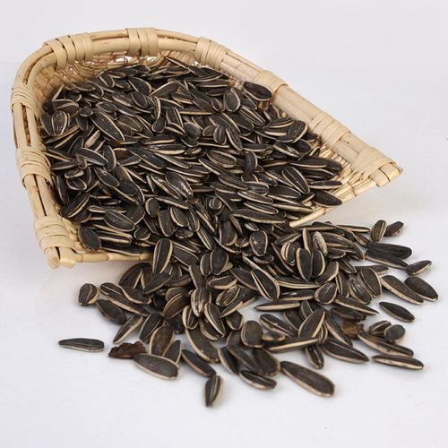 味蕾盛宴 从散装批发到精致小包装，探秘五香瓜子的独特魅力