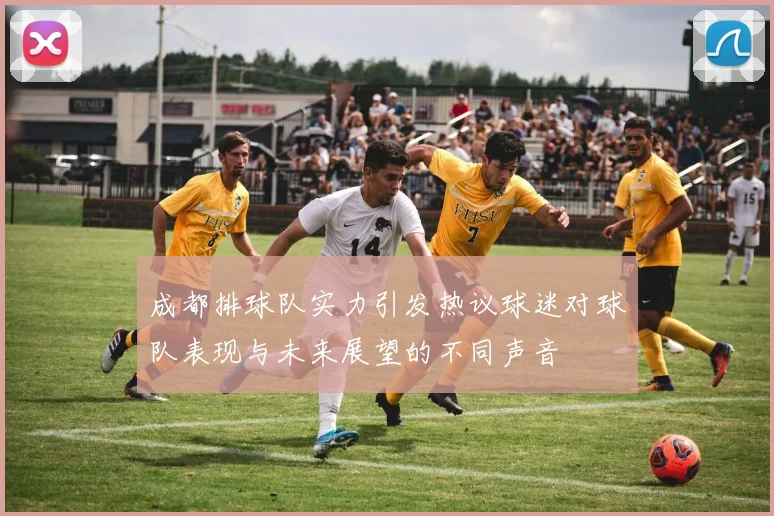 成都排球队实力引发热议球迷对球队表现与未来展望的不同声音